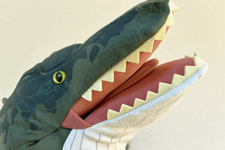 【ぬいぐるみ】ジュラシック・ワールド「モササウルス」取れました！